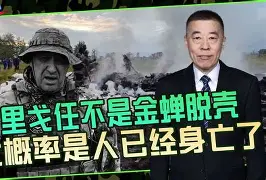 ADA投资陷阱真相浮出水面，已有超19.09人被骗！-九游网页